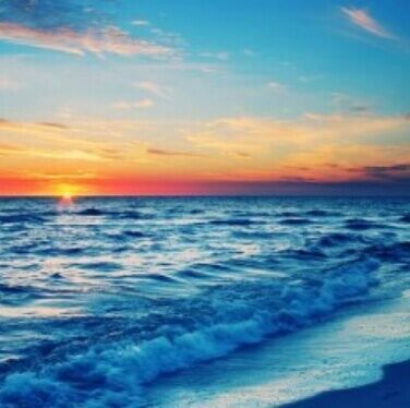 Sea Beaches