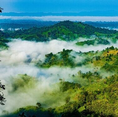 Hill Tracts & Waterfalls